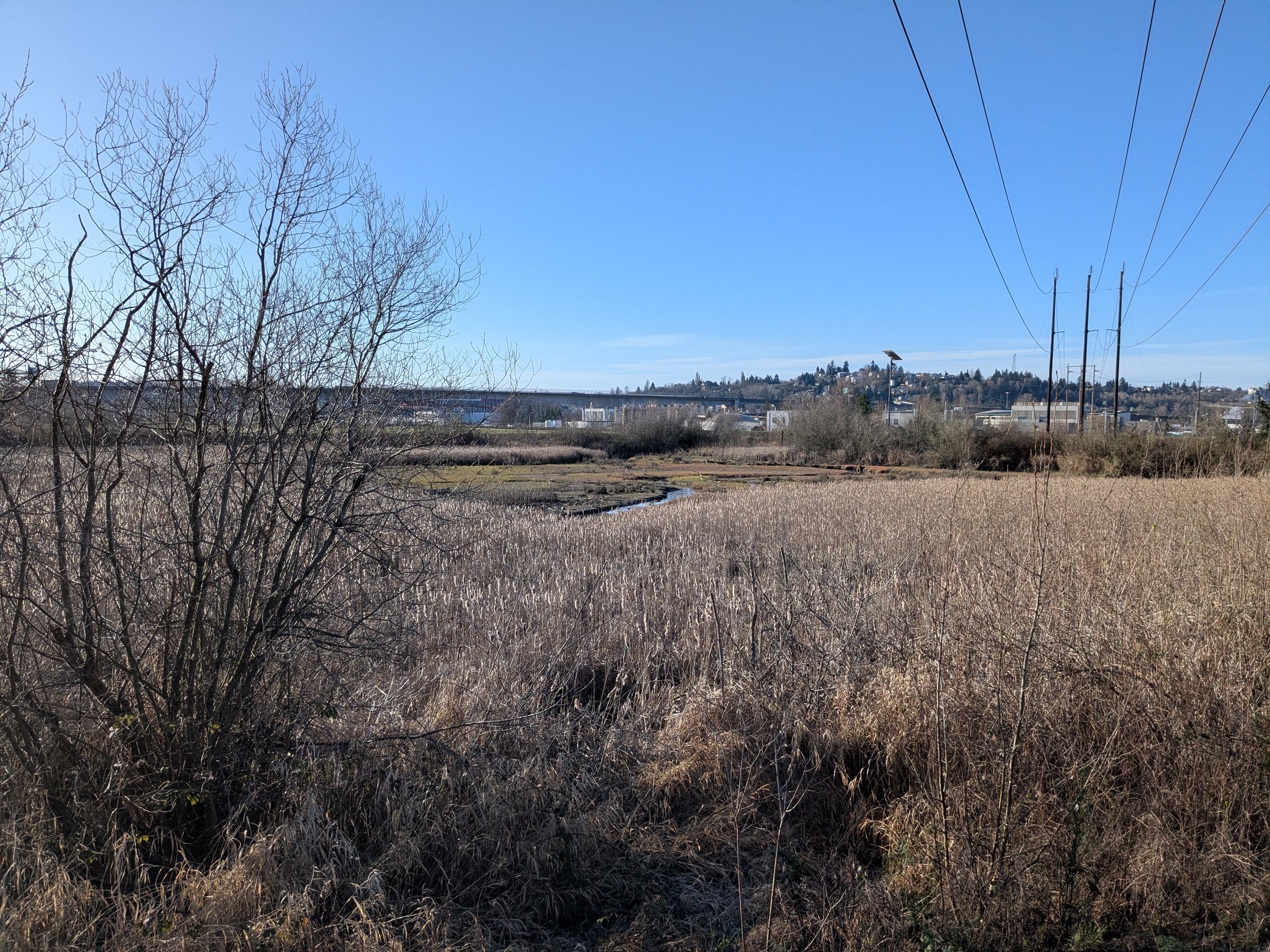 View of marsh and distant landscape from the future platform
