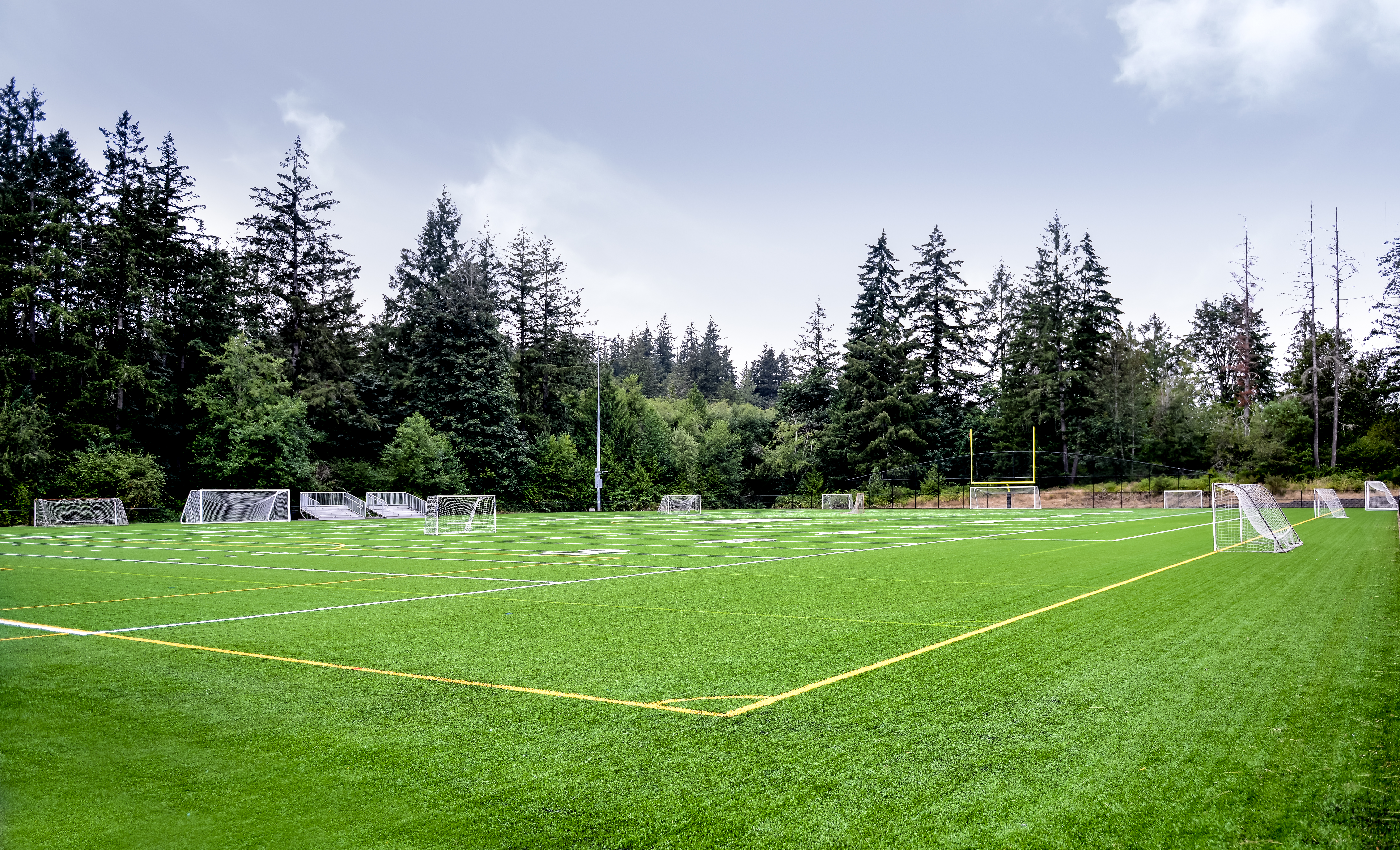 Two sides of the field are framed by loosely forested hillsides