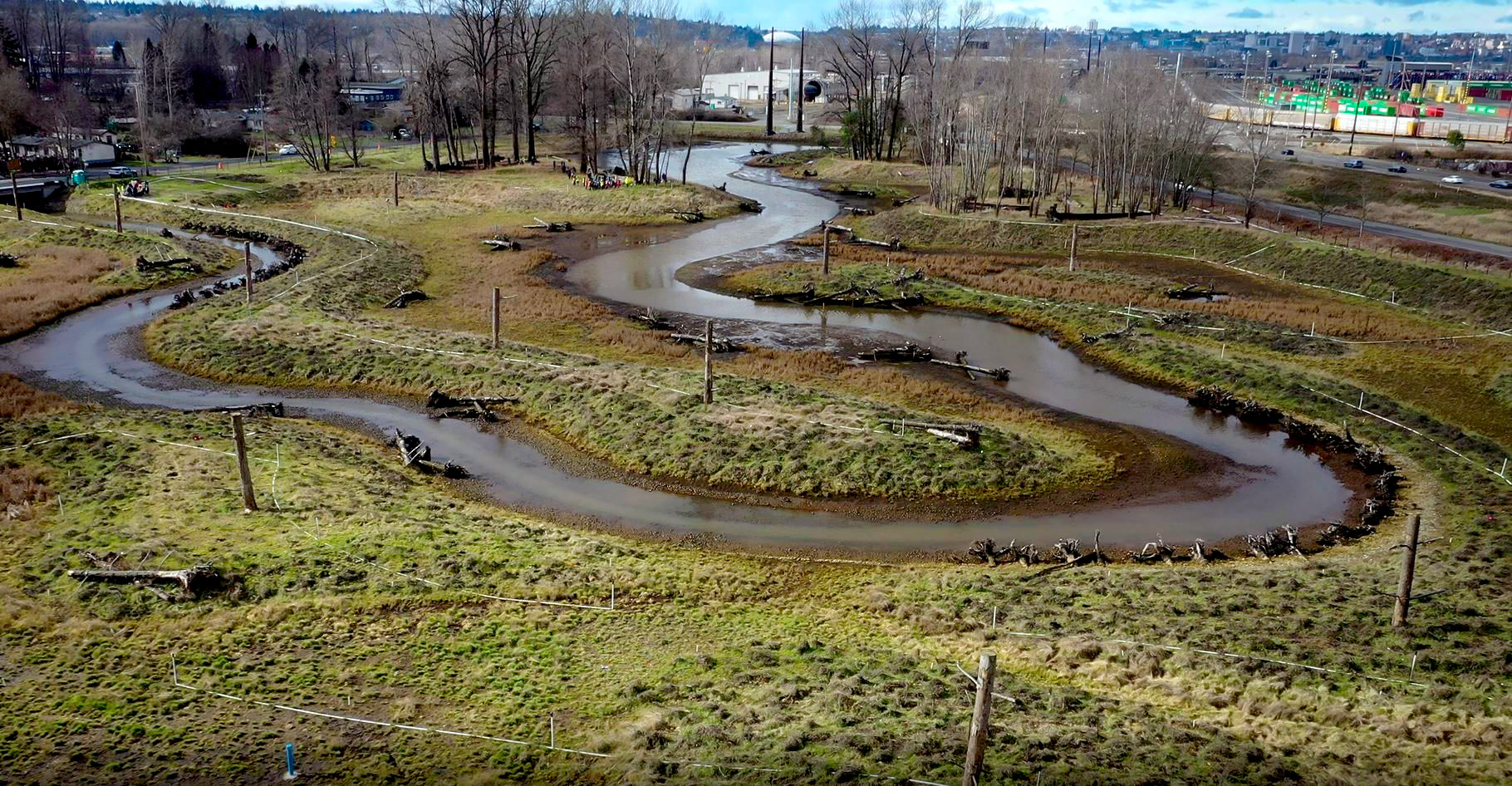 Lower angle view from the opposite end of the site showing established meadow plantings and new riparian habitat installations