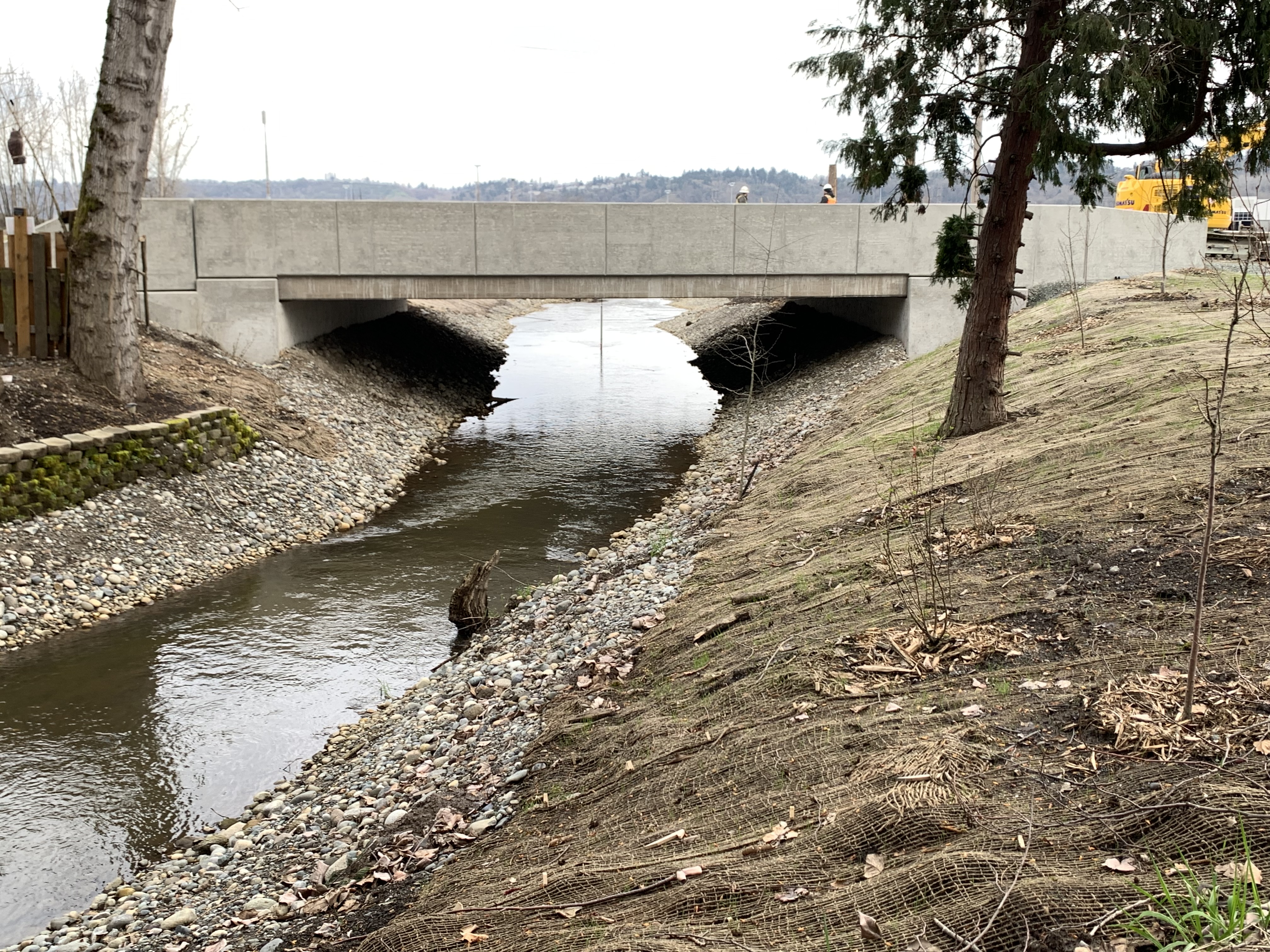 The stream channel flows under a newly installed culvert which allows for sloped streambanks to enhance mobility and habitat for riparian wildlife